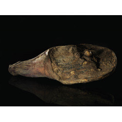 Noix de jambon / prisuttu